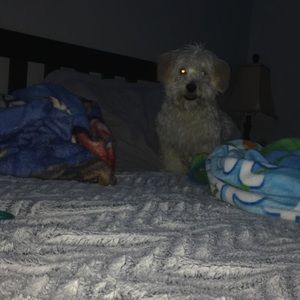 Meet your Posher, Diego